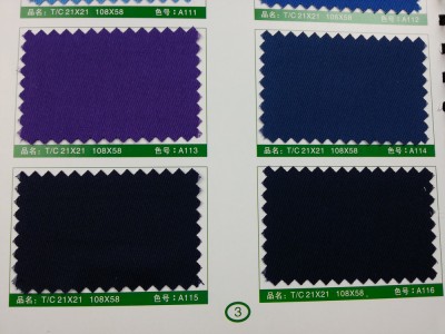 SD-DGYE   滌棉紗卡  T/C  21*21  108*58 細節-12